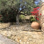 Village of Polyrrhenia